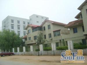 土桥·芳草园联排别墅满五唯一,套内500平左右