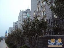 一楼复式,使用面积大,价格好谈