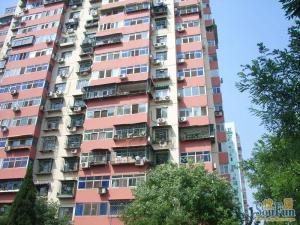 洋桥东里2室1厅南北