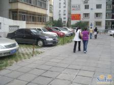 德胜门新上一居室南向全天采光楼龄新满五唯一