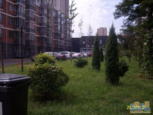 建西苑南里实景图