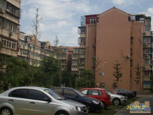 建西苑南里实景图