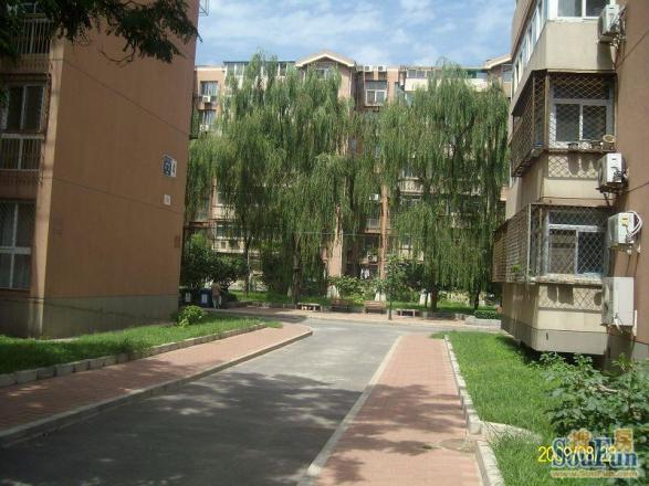 建西苑南里实景图