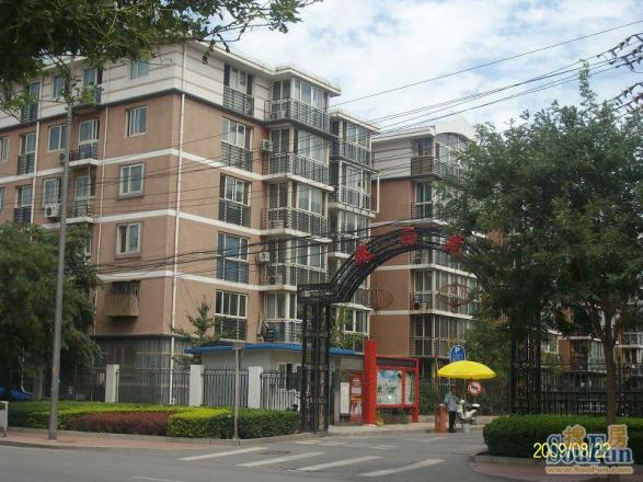 建西苑南里实景图