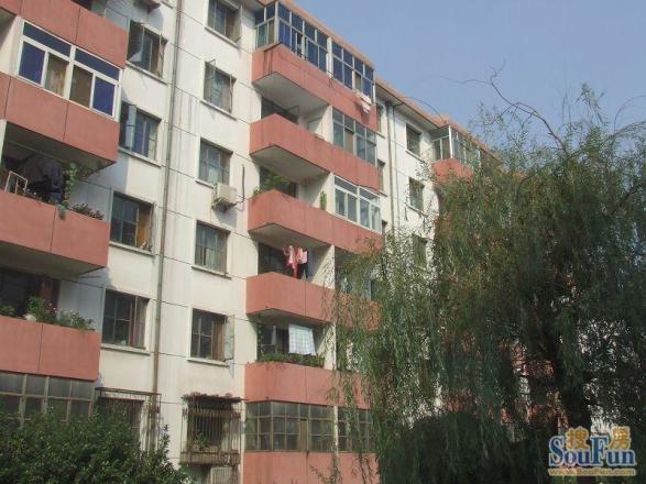 冯村西里实景图