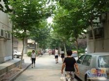 西苑小区 单位宿舍 精装修 两室两厅双气 业主诚心出售