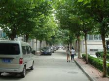 房龄新 正规一室一厅 停车方便