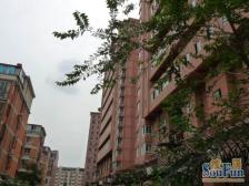 鸿基公寓3室1厅东南西北