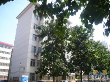 民航新村 3室1厅 南