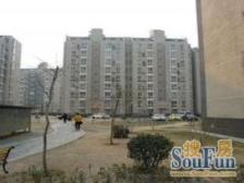 西四环外南北通透落地飘窗户型方正无浪费