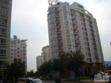 丽湖馨居电梯跃层不临街满五唯一4室3厅2卫