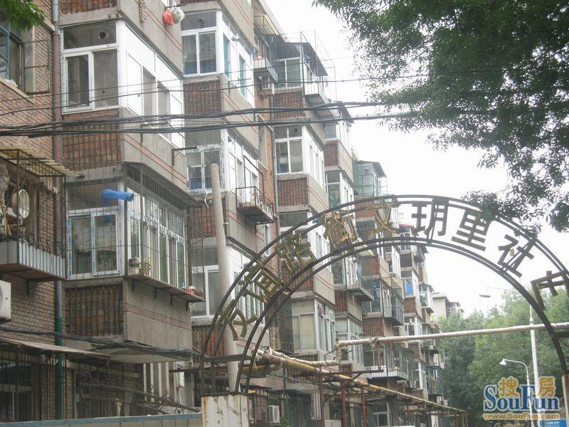 实景图