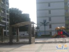 面积205平,价格不高,楼下碧沙岗地铁口