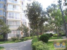 2005年的小区,业主诚心出售,看房方便