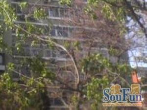 赵公口定安西里电梯三居 东南向 满五唯一 全天采光