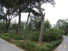 左家庄明厨明卫中间层精装两居诚意出售