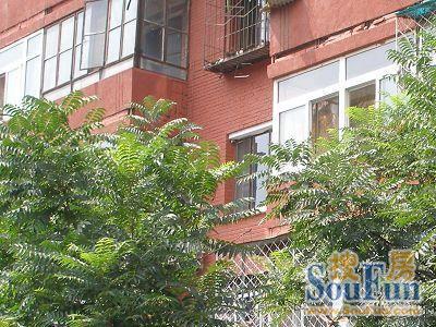 五里店南里实景图