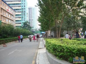 西罗园·宝汇苑·1室·1厅