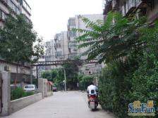 昆仑街 2室0厅 南 北