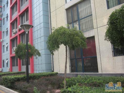  ���⡤�����š��°��󷿡�3�� 