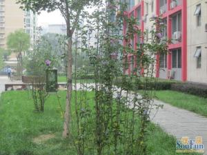东城区2006年商品房,人车分流,交通便利