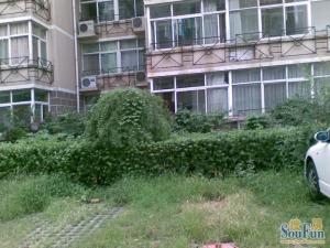 广渠门外南街电梯房,精装修满五唯一