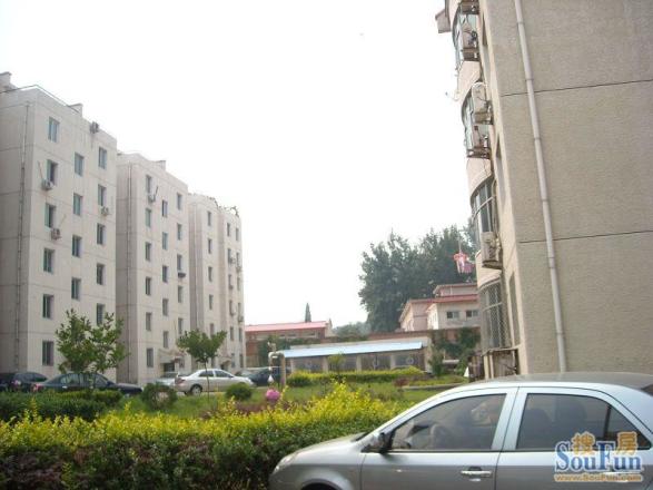 青春苑实景图