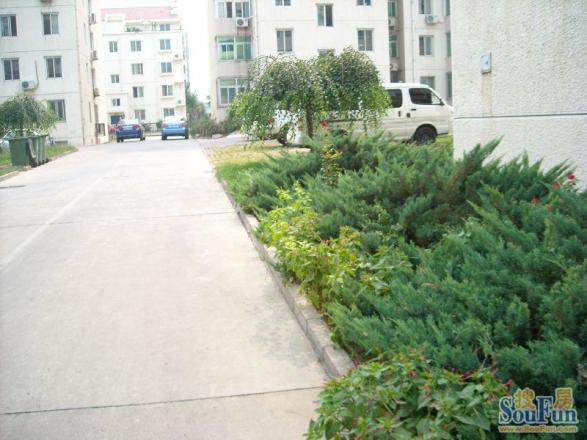青春苑实景图