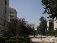 此房满五年 两室一厅 双气 采光好 带地下室