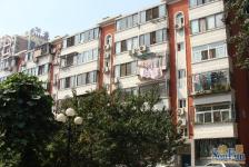 2004年楼龄鸟巢盘古旁楼间距大无遮挡