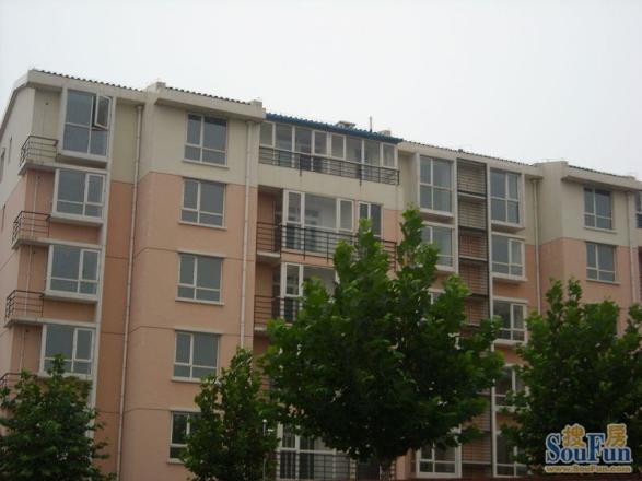 龙兴园西区实景图