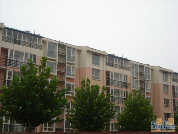龙兴园西区实景图