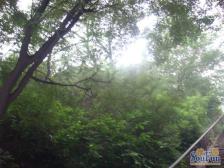 门矿西山楼 2室1厅 南 北