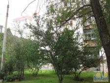 苹果园模式口北里2室2厅