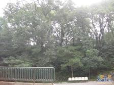 电厂院 23年精装修正规两居 无居住诚心出售