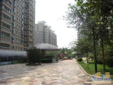 鲁能康桥 3室1厅 南 北