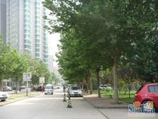 鲁能康桥 2室2厅 南