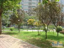 有钥匙随时看房,有地下室,全明户型,上下两层