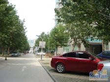 北园大街 鲁能康桥精装两室 买来即住 随时看房