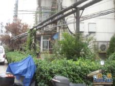 满五年不唯一 大三房 往南有公园 业主诚心出售