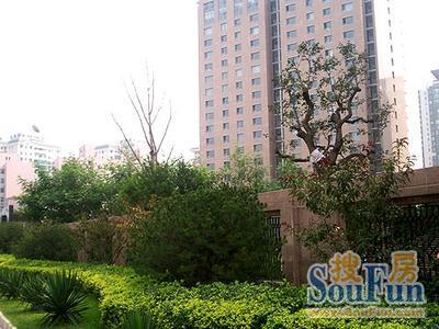 北京GOLF公寓实景图