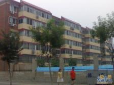 宾阳西里南区