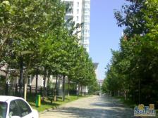 看房方便 五年唯一费用低 高楼层采光好