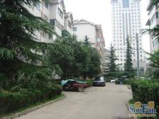 店长推荐+舜玉花园+1+2叠+50平地下室带窗户+好房