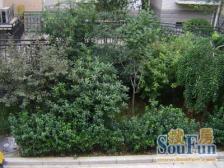 刚上的 有露台 车位 视野开阔 诚意出售 随时看房