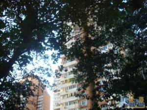城市芳庭4室1厅西南