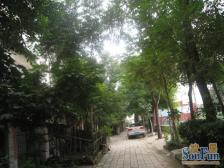 月季公园地铁口,金水沿线,锦艺商圈