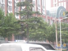 地铁口小户型,采光好,多功能房型