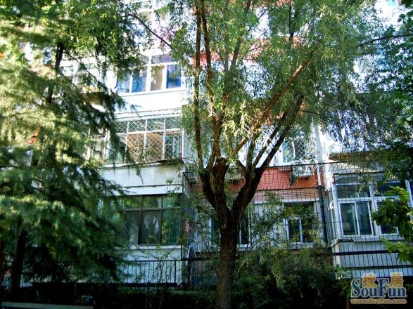 白纸坊南里实景图