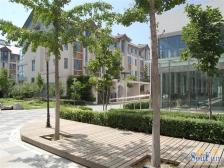 汤HOUSE 精装修 业主诚心出售 店长推荐